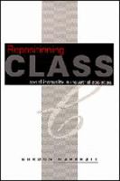 Repositioning class : social inequality in industrial societies /