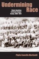 Undermining race : ethnic identities in Arizona copper camps, 1880-1920 /