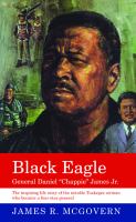 Black Eagle : General Daniel "Chappie" James, Jr /