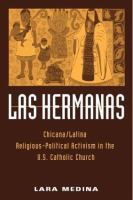 Las Hermanas : Chicana/Latina religious-political activism in the U.S. Catholic Church /