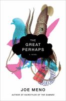 The great perhaps : a novel /