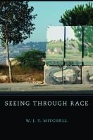 Seeing Through Race.