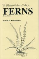 Ferns /