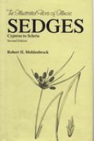 Sedges : Cyperus to Scleria /