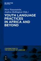 Youth language practices in Africa and beyond