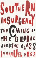 Southern insurgency the coming of the global working class /