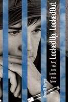 Locked up, locked out : young men in the juvenile justice system /