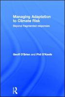 Managing adaptation to climate risk beyond fragmented responses /