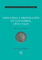 Industria y protección en Colombia, 1810-1930 /