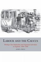 Labour and the caucus : working-class radicalism and organised liberalism in England, 1868-88 /