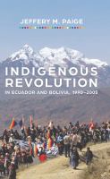 Indigenous revolution in Ecuador and Bolivia, 1990-2005 /