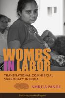 Wombs in labor transnational commercial surrogacy in India /