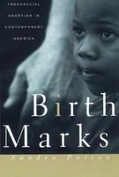 BirthMarks transracial adoption in contemporary America /