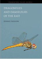 Dragonflies and damselflies of the East /