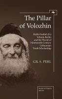 The pillar of Volozhin Rabbi Naftali Ẓvi Yehuda Berlin and the world of nineteenth-century Lithuanian Torah scholarship /