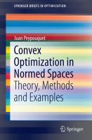 Convex Optimization in Normed Spaces Theory, Methods and Examples /