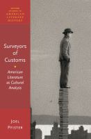 Surveyors of customs : American literature as cultural analysis /