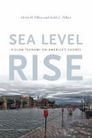 Sea level rise a slow tsunami on America's shores /