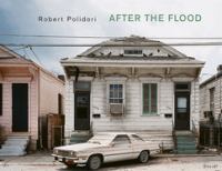 After the flood /