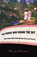 The Horse Who Drank the Sky : Film Experience Beyond Narrative and Theory.