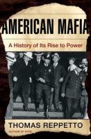 American Mafia : a history of its rise to power /