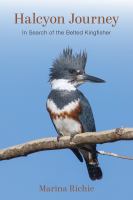 Halcyon journey : in search of the belted kingfisher /