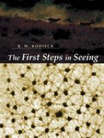 The first steps in seeing /