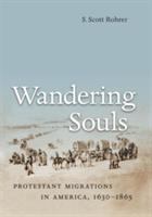 Wandering souls : Protestant migrations in America, 1630-1865 /