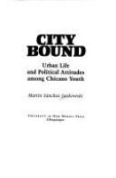 City bound : urban life and political attitudes among Chicano youth /