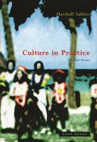 Culture in practice : selected essays /