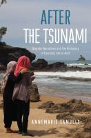 After the tsunami disaster narratives and the remaking of everyday life in Aceh /