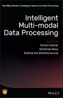 Intelligent Multi-Modal Data Processing.