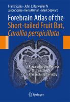 Forebrain Atlas of the Short-tailed Fruit Bat, Carollia perspicillata Prepared by the Methods of Nissl and NeuN Immunohistochemistry /