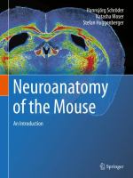 Neuroanatomy of the Mouse An Introduction /