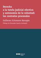 Derecho a la Tutela Judicial Efectiva y Autonomía de la Voluntad