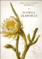 Flower drawings /