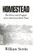 Homestead : the glory and tragedy of an American steel town /