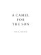 A camel for the son /