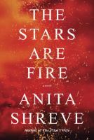 The stars are fire : a novel /