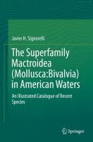 The Superfamily Mactroidea (Mollusca:Bivalvia) in American Waters An Illustrated Catalogue of Recent Species /