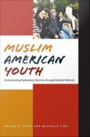 Muslim American youth understanding hyphenated identities through multiple methods /