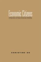 Economic citizens : a narrative of Asian American visibility /