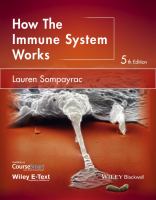 How the immune system works