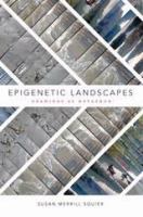 Epigenetic landscapes drawings as metaphor /