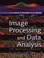 Image processing and data analysis : the multiscale approach /