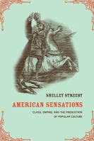 American sensations class, empire, and the production of popular culture /