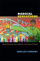 Radical sensations world movements, violence, and visual culture /