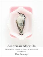 American afterlife : encounters in the customs of mourning /