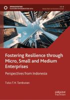 Fostering resilience through micro, small, and medium enterprises perspectives from Indonesia /