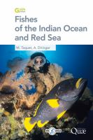 Fishes of the Indian Ocean and Red Sea.